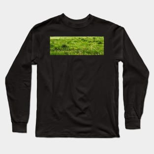 flowers in the countryside Long Sleeve T-Shirt